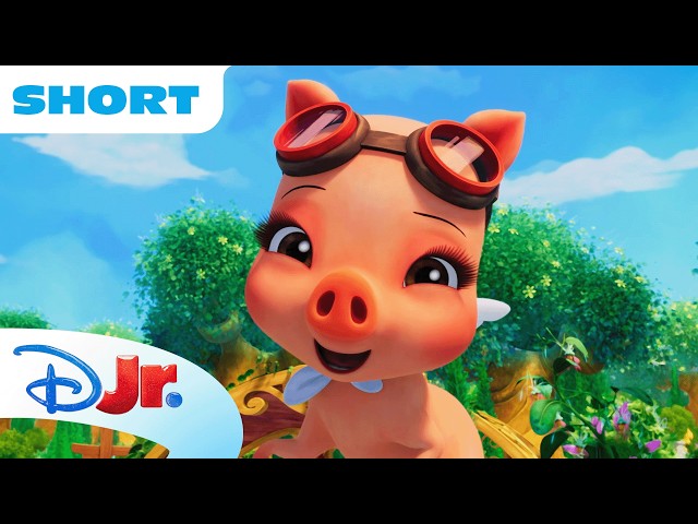Magicampers | Darly Takes You On a Camp Quest! 🐽✨ | NEW SHOW | @disneyjr