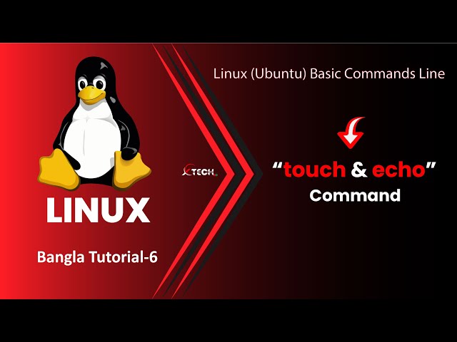Linux Commands |touch command| echo command| Ubuntu (Linux) Commands for Beginners|T-6 |XTECH BD