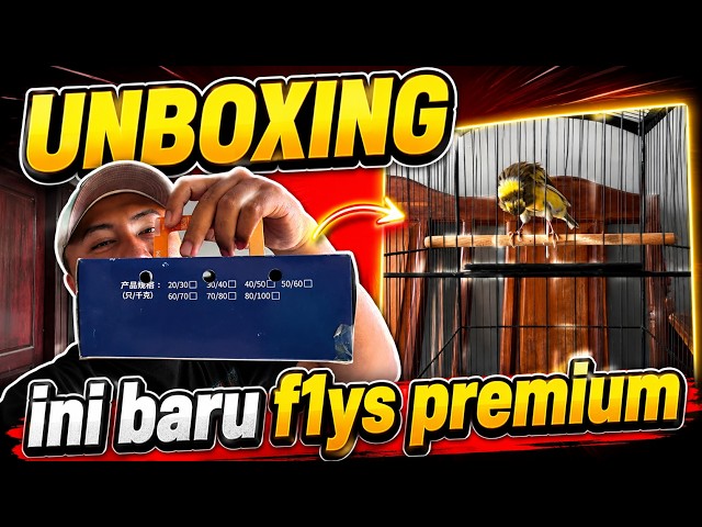 UNBOXING‼️THIS IS A NEW CANARY WITH A STEAKY POSTURE THAT IS NOT LESS THAN IMPORTED CANARIES