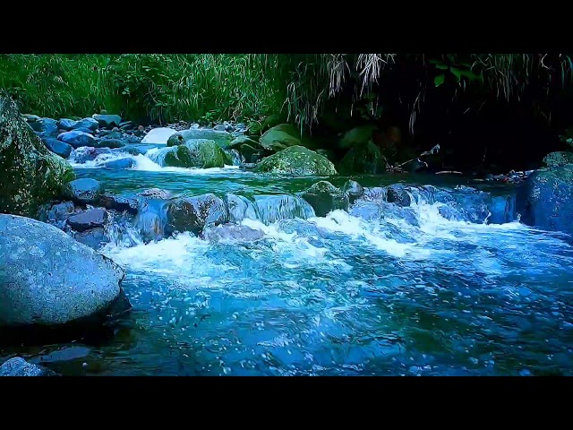 🌊 Relaxing River ASMR Sounds for Deep Sleep, Stress Relief & Anxiety Healing