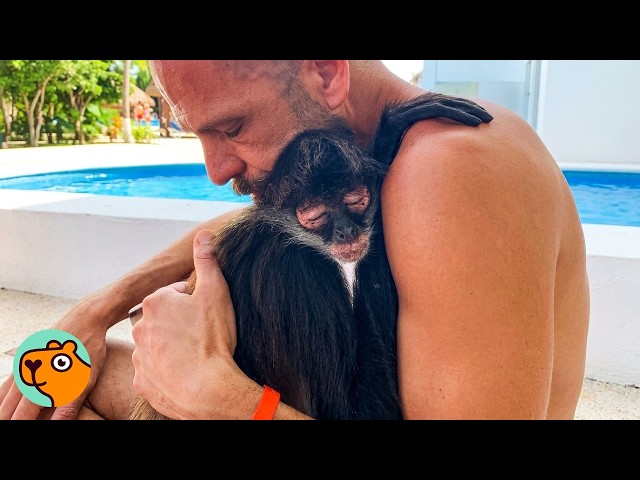 Wild Monkey Came Back To See Her Favorite Man Every Day | Cuddle Buddies