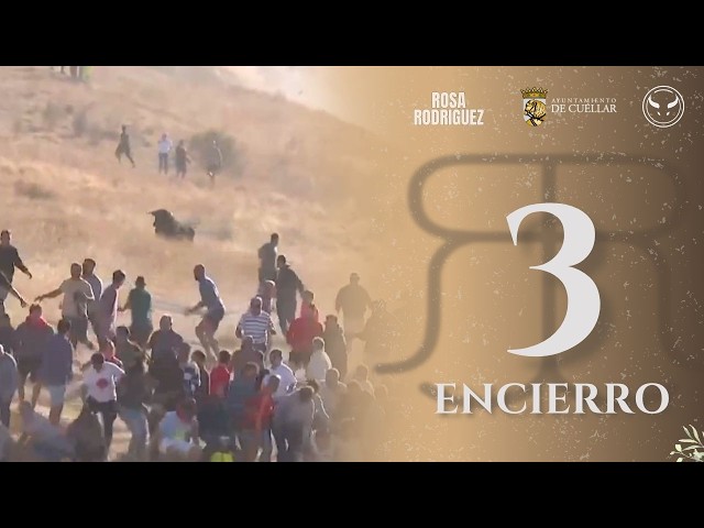 THIRD BULL RUN of Cuéllar 2026 | Bulls from Rosa Rodriguez
