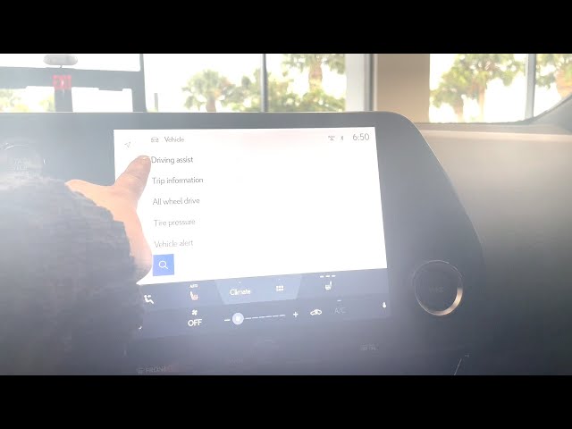 Turning on your Blind Spot Monitor in your Lexus 2022-24 NX
