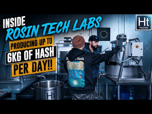 How a Professional Solventless Lab Scales Production