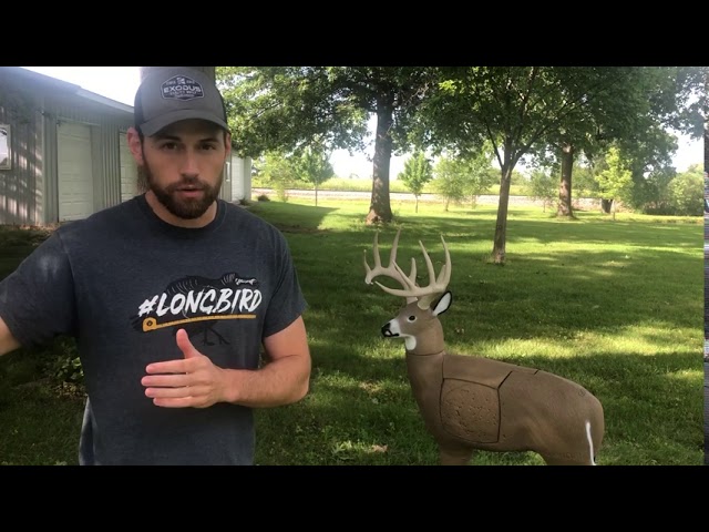 Shot Placement Tips with Aaron Warbritton