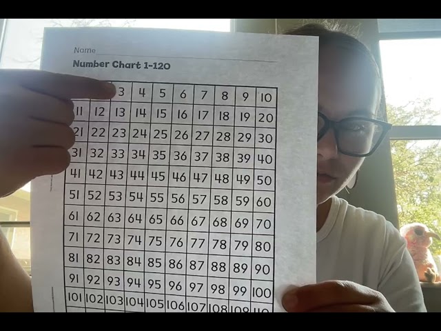 Number Patterns on 100 Chart
