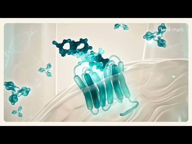 TL;DR: We analyzed the clinical utility of IGF-1 monitoring in peptide-based protocols. The data ind