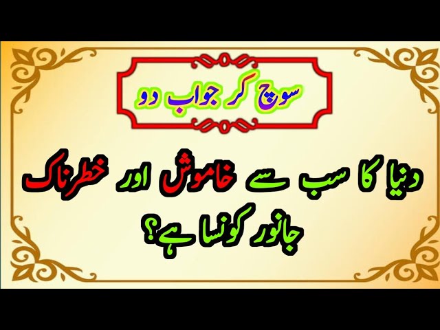 general knowledge quiz multiple choice || quiz general knowledge easy ||islamic history in urdu mcqs