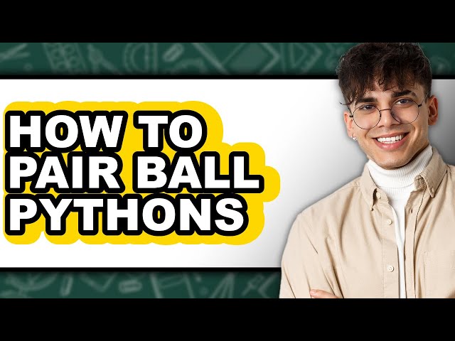 How to Pair Ball Pythons (only Way)