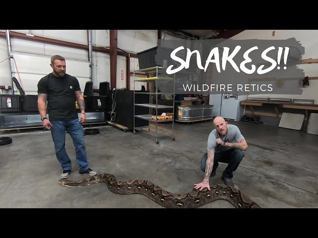Snakes, Snakes, And More Snakes!! | Wildfire Retics | Dustin & Tonya
