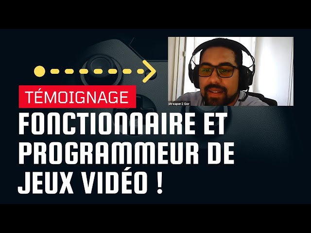 Fonctionnaire et programmeur de jeu vidéo : témoignage