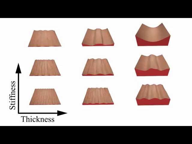 Multi-layer skin simulation with adaptive constraints
