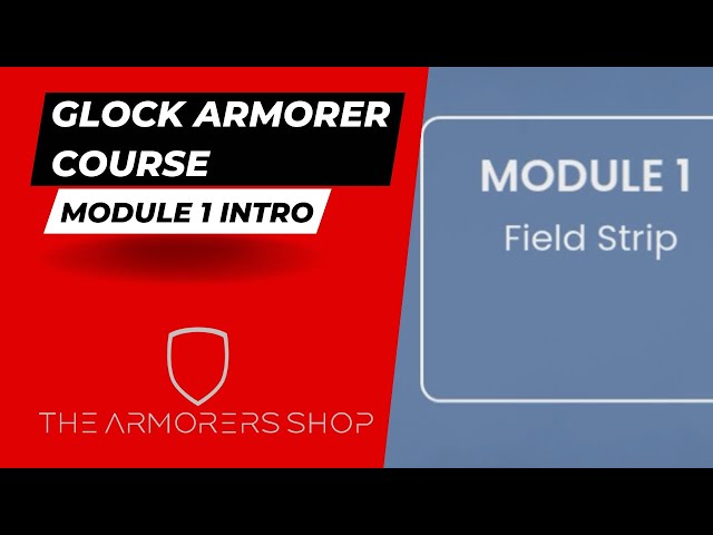 Module 1 Field Strip intro