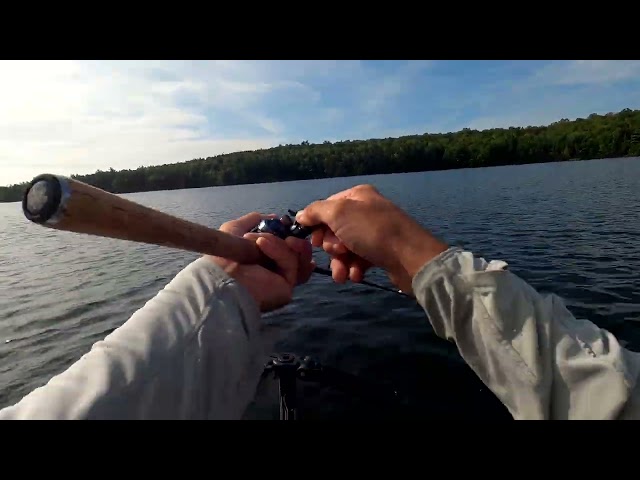 Big Smallie on a Coike - Plus Rigging Tutorial