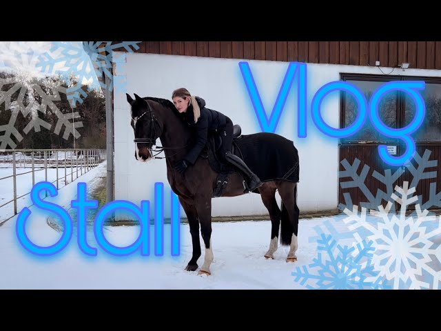 STABLE VLOG FREEZING COLD! ❄️🐴 annchenaugustine