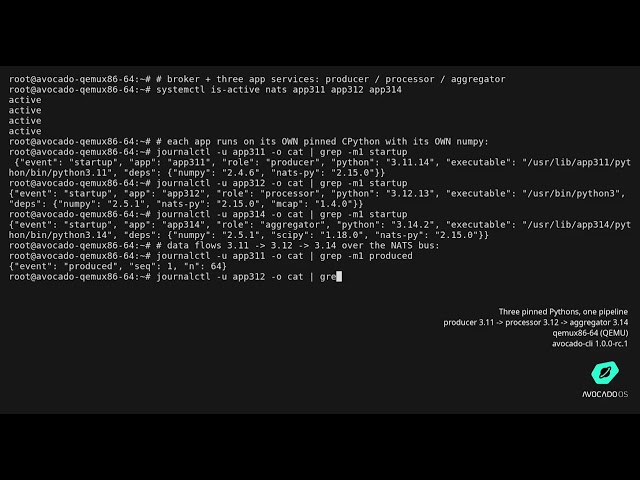 Avocado OS CLI: Run 3 Pinned Pythons on One Device with uv (Walkthrough)