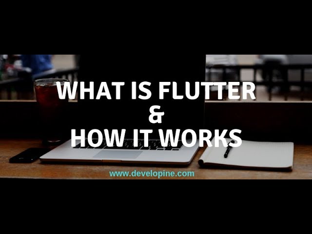 Introduction to Flutter SDK | How Flutter Works | Why Flutter Uses Dart | By Developine.com