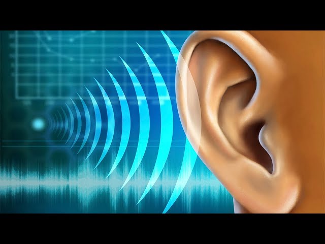 Música para Estudiar, Concentrarse y Memorizar Rápido ☯ Ondas Alfa ☯ Música Relajante