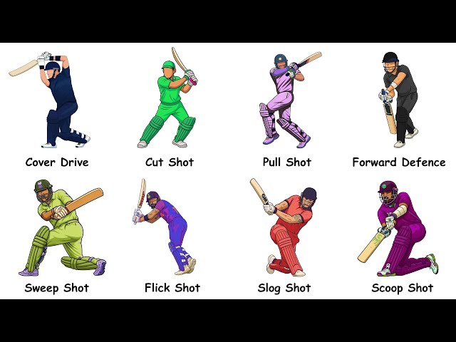 Every Cricket Shot Explained in 21 Minutes