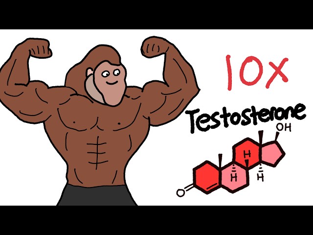 How To 10x Testosterone Explained By Ape