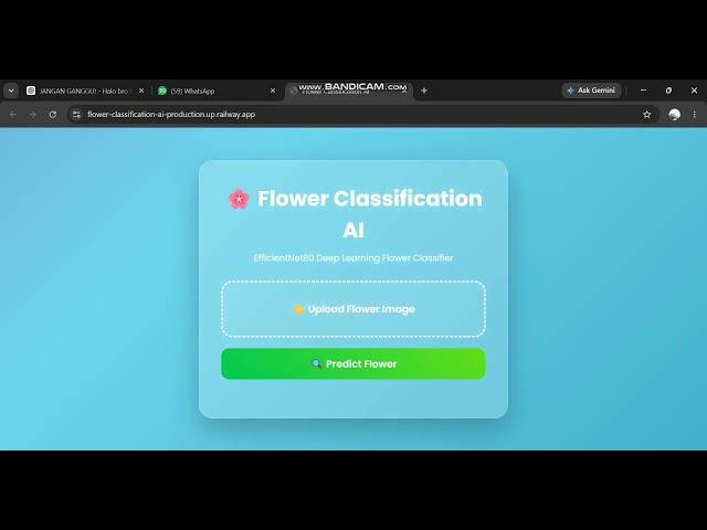 Flower Classification AI Web Application | EfficientNetB0 + Flask + TensorFlow