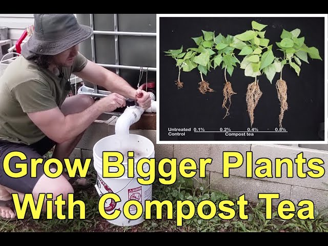 Making Organic Worm Tea Fertilizer For Your Garden - Improve Plant Size & Health