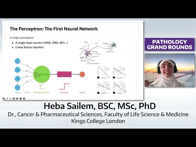 AI-powered Biomarker Discovery from Histopathological Data