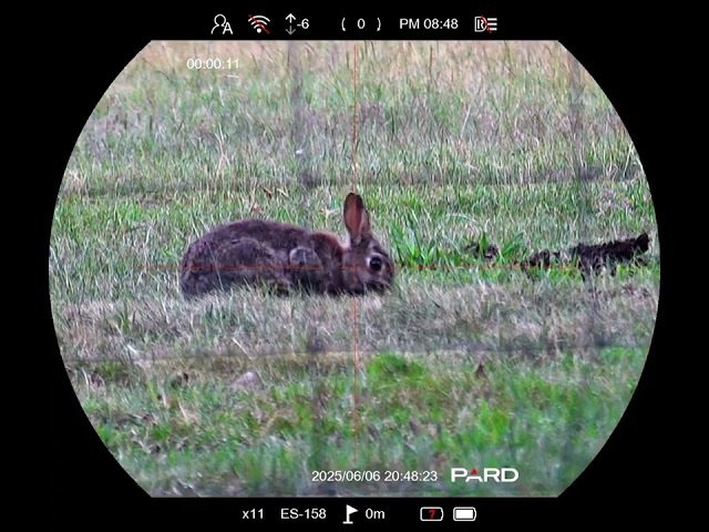 PARD Nightstalker 4K EX at www.opticsworld.co.uk