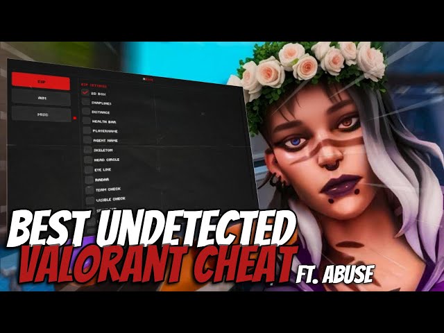 I Tested Valorant Cheats And Tried Them For 24 hours...(INSANE)