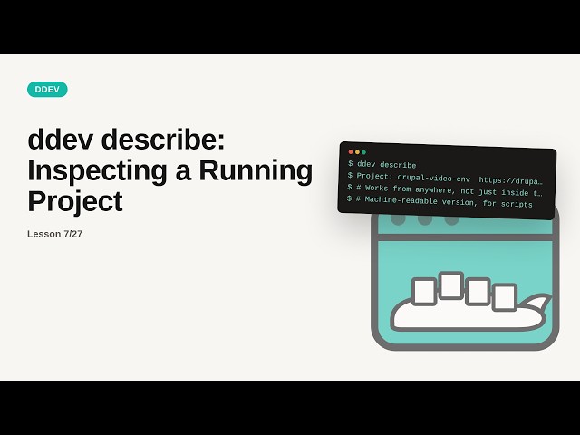 ddev describe: Inspecting a Running Project | DDEV Tutorial for Beginners