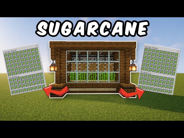 How To Make an AUTOMATIC Sugarcane Farm in Minecraft! 🌱 | Easy Tutorial