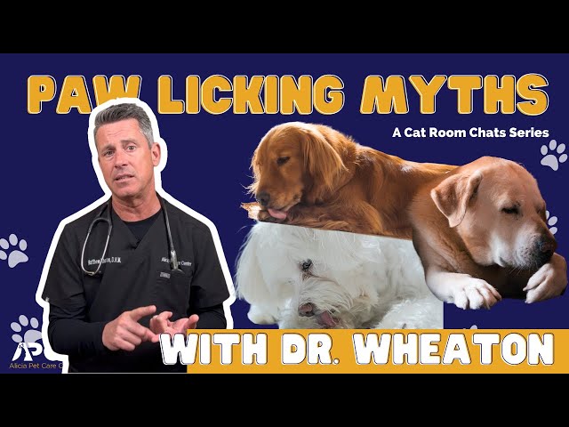 STOP Paw Licking: Causes and Treatments of Excessive Paw Licking.