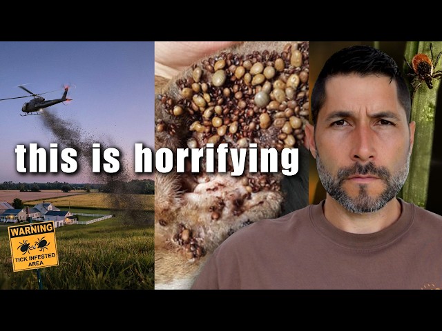 I investigated the explosion of ticks and what I found is horrifying…