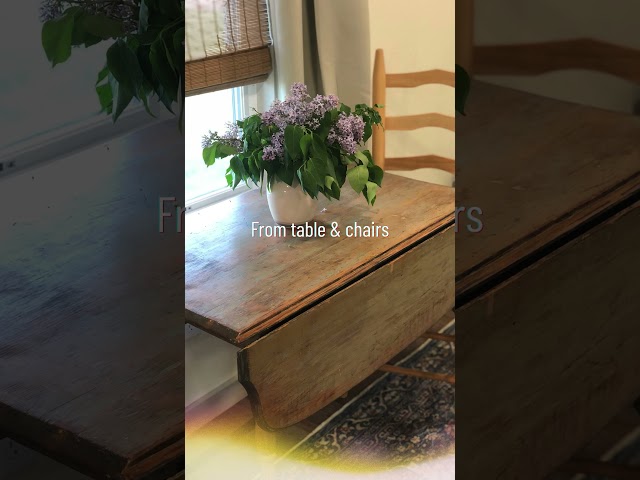 THRIFTED TINY HOME OF 450 SQ FT #thrifted #tinyhome #secondhand