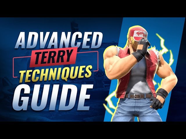 Advanced Techniques and Frame Data for Terry and FGC Inputs in Smash Ultimate
