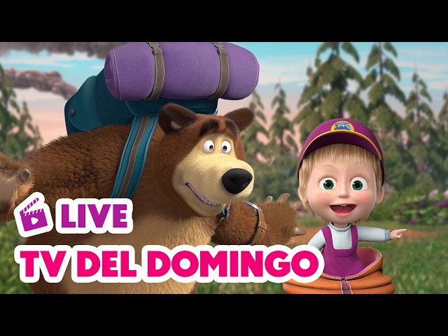 🔴 LIVE ⭐ Masha y el Oso 2026 🍿☀️TV del Domingo 🎬 Dibujos Animados en español