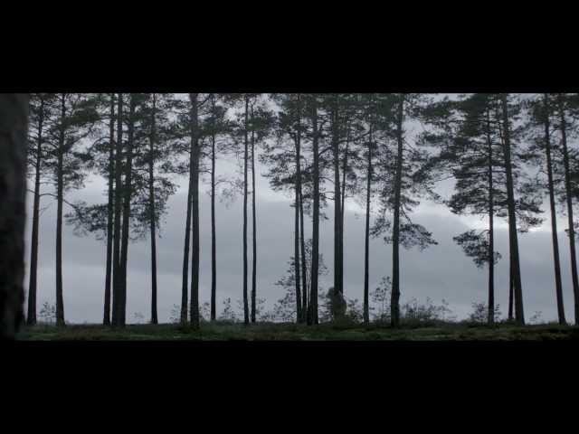iamamiwhoami; good worker