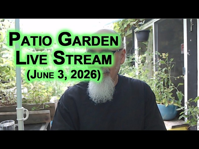 Patio Garden Open Discussion -- Wednesday, June 3, 1:00 PM to 3:00 PM PST [ASMR]