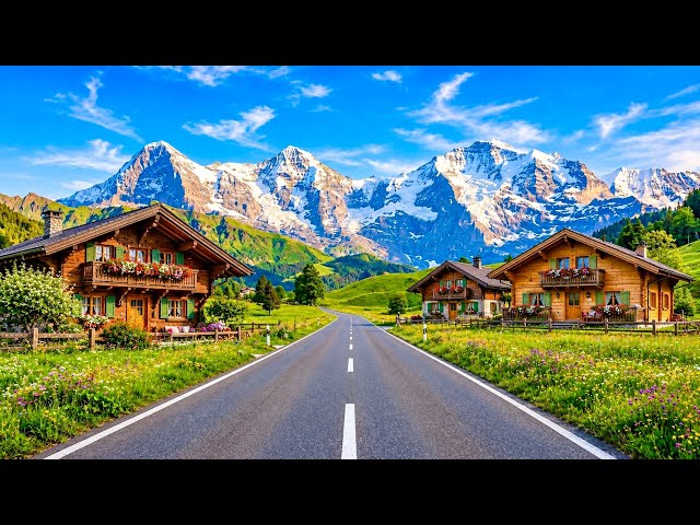 SWISS Road Trip | Peaceful Countryside & Mountain Views, 4K