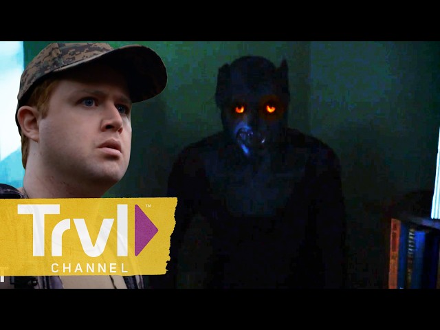 Canine Creeps | These Woods are Haunted | Travel Channel