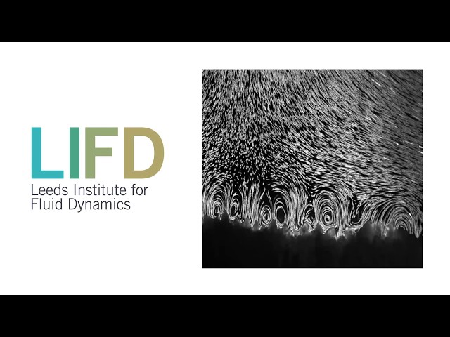 Unravelling 3dimensional active transport by ciliary arrays on coral surfaces - Draga Pihler-Puzovic