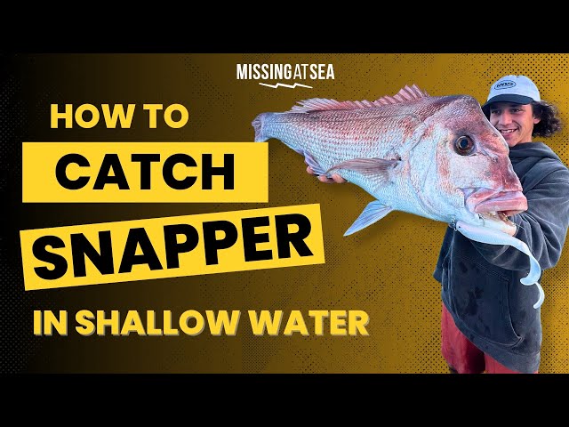 How to catch MASSIVE SNAPPER in shallow water 🎣