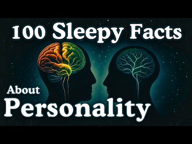 The Most Relaxing Facts About Personality to Fall Asleep To