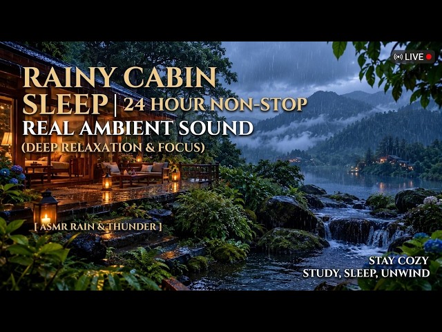 Rainy Night in a Cozy Forest House 🌧️ Relaxing Rain Sounds for Sleep & Stress Relief