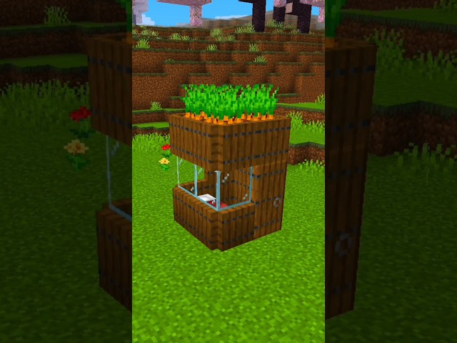 This Starter House is TOO Easy 😱