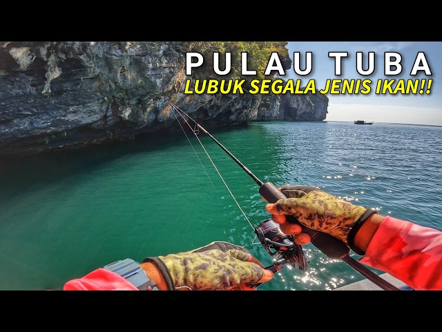 Di Kawasan Pulau Ini LUBUK Ikan & Sotong Mabang!! - Pulau Tuba [ Part 1 ]
