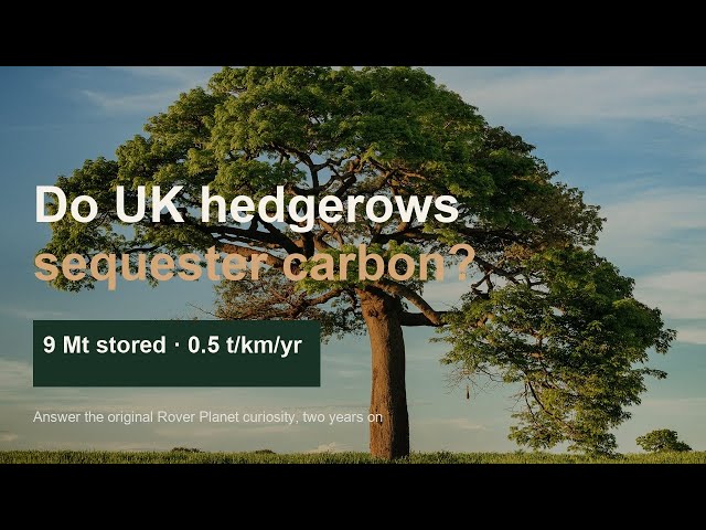 Do UK hedgerows actually sequester carbon? Answering a 2024 Rover Planet question