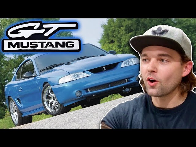 Why YOU NEED An SN95 Mustang: Boosted Knowledge
