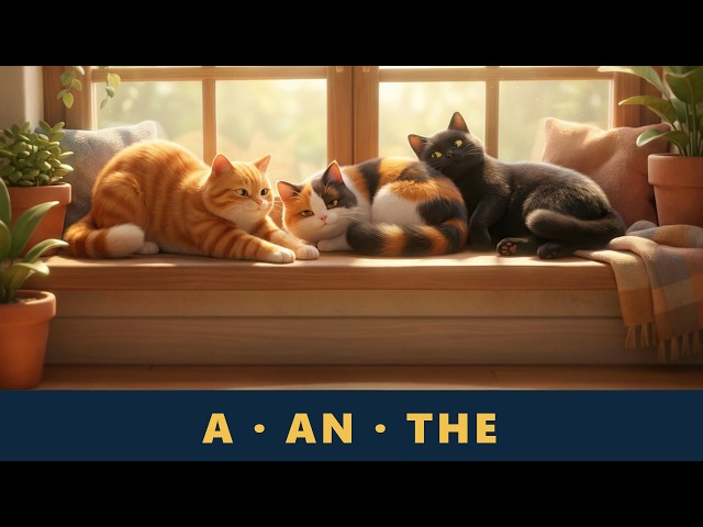 Anglais sans stress #9 — A, AN, THE ou rien : quand mettre un article en anglais ?