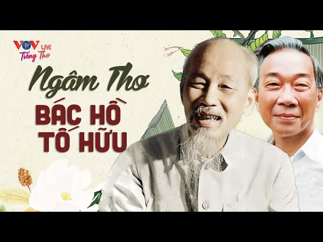 20 Bài Thơ Hay Nhất Của Bác Hồ - Tố Hữu Ngủ Ngon | Ngâm Thơ Đêm Khuya Đài Tiếng Nói Việt Nam